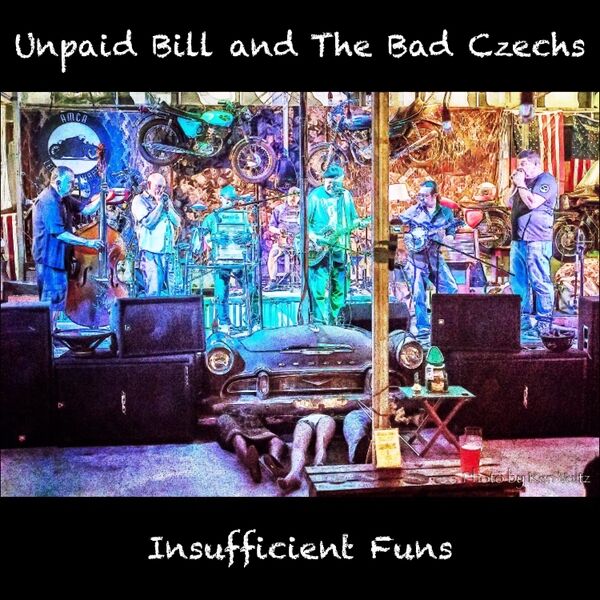 Cover art for Insufficient Funs (Live)